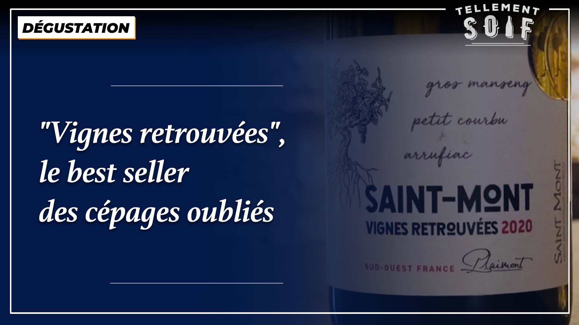 [COMPLET] 20220620_RENCONTRE_AG_OlivierBourdet_Pees_3_Degustation_2_Vignes_Oubliees.mp4.smil