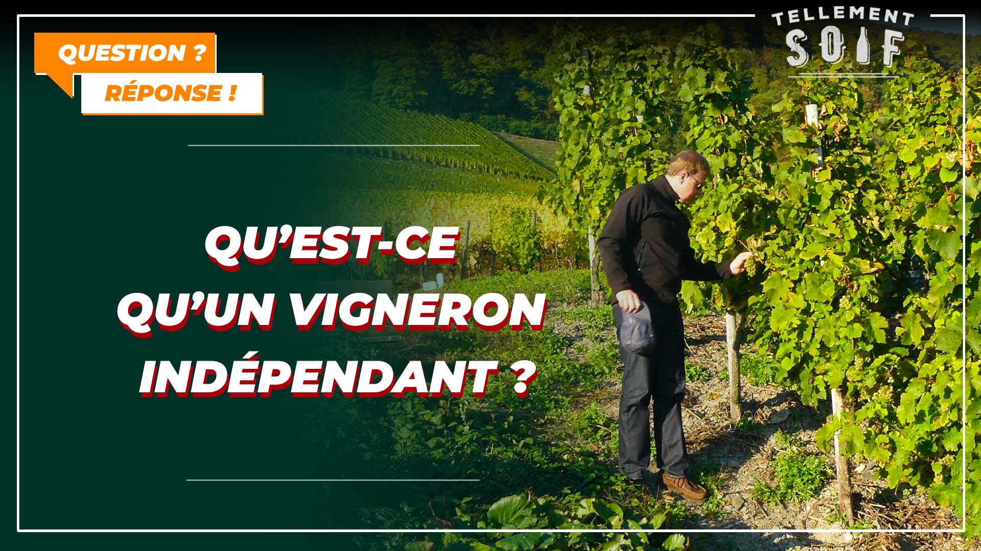 Qu&rsquo;est-ce qu&rsquo;un vigneron indépendant ?
