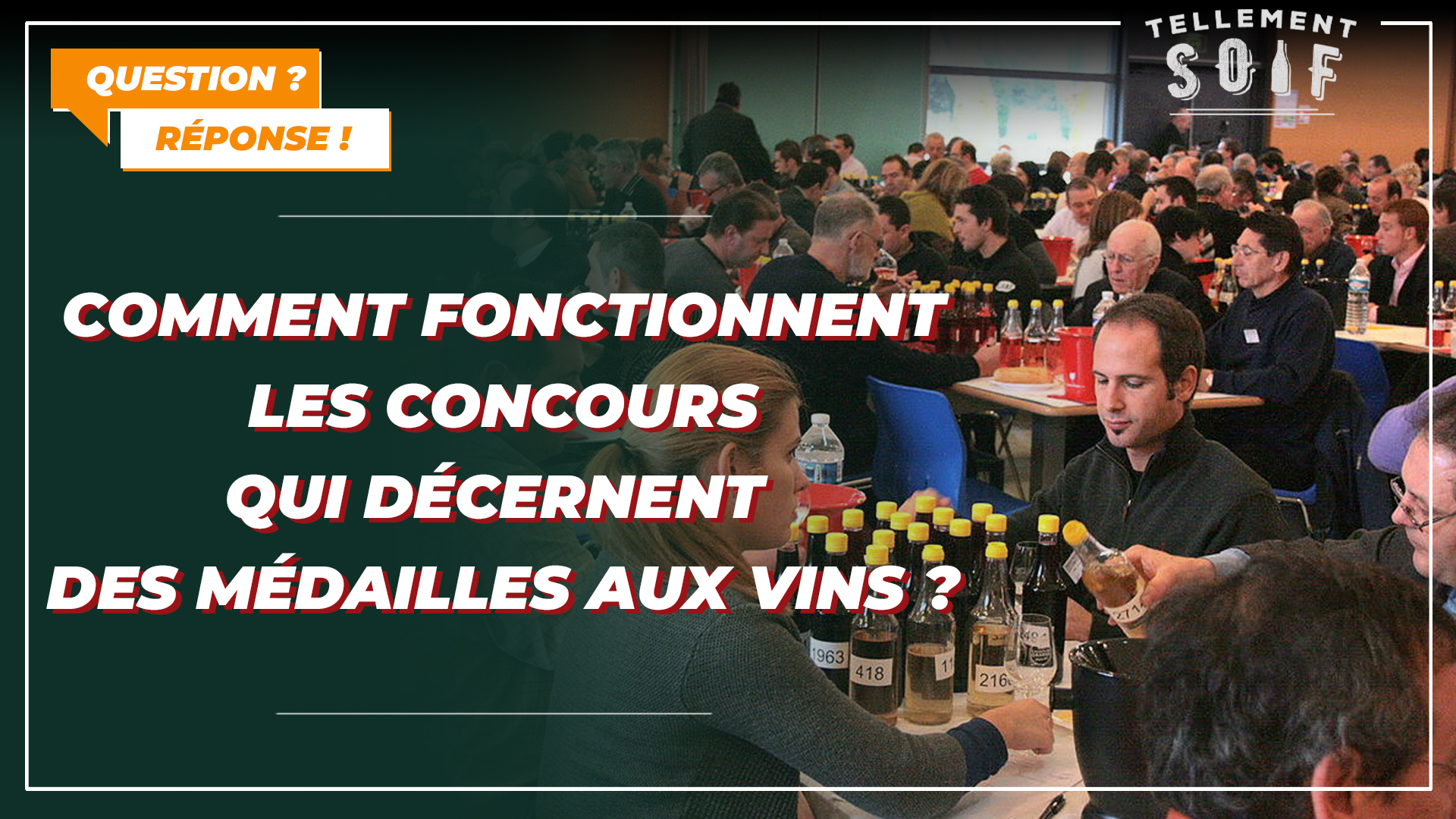 Comment fonctionnent les concours qui décernent des médailles aux vins ?