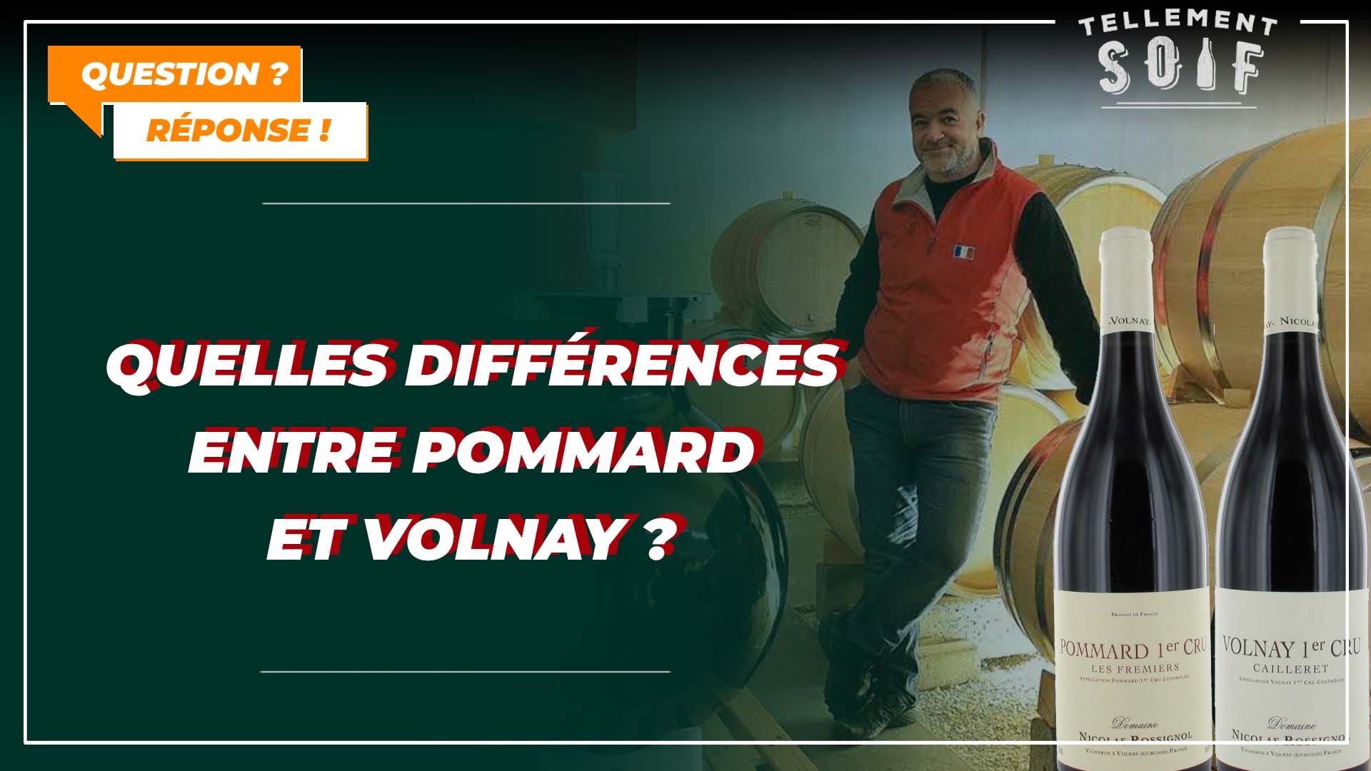 Quelles différences entre Pommard et Volnay ?