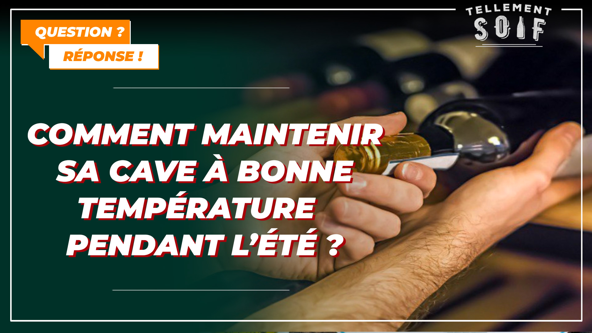 Comment maintenir sa cave à bonne température pendant l&rsquo;été ?