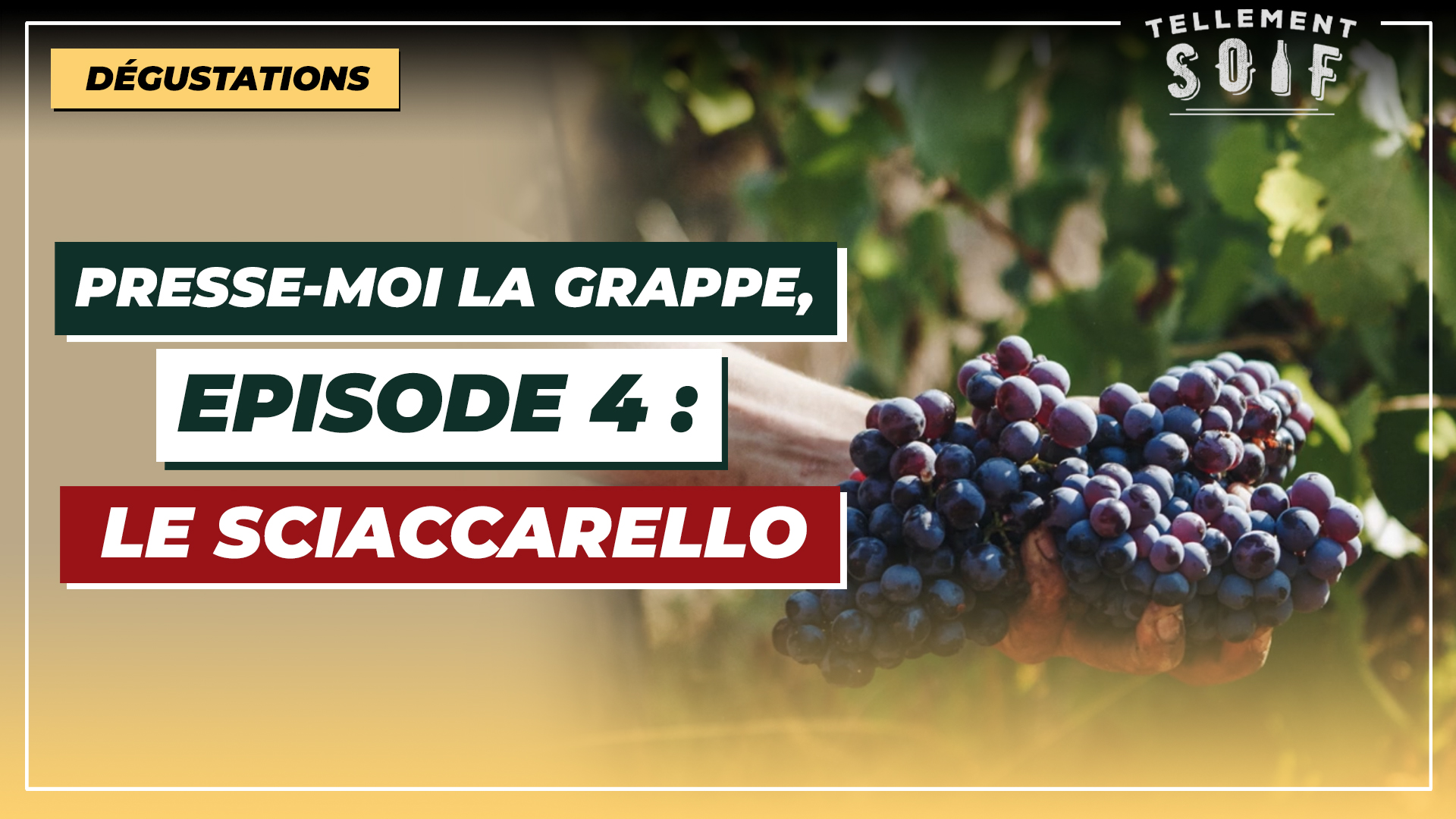 [COMPLET] 20220329_PMLG_TM_Sciaccarello.mp4.smil