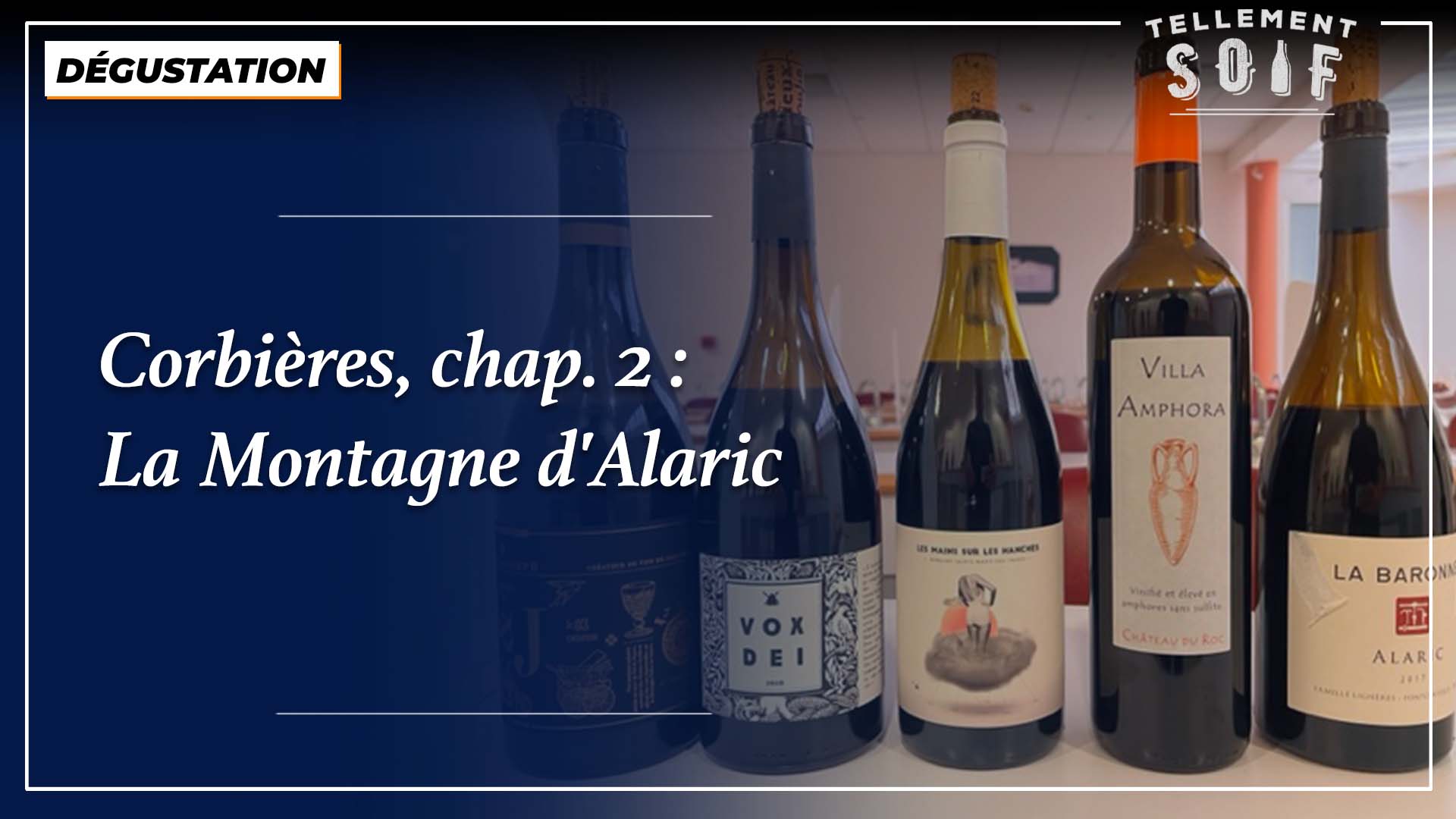 [TRAILER] 20221020_DEGUSTATION_AG_Corbieres_MontagneAlaric.mp4.smil