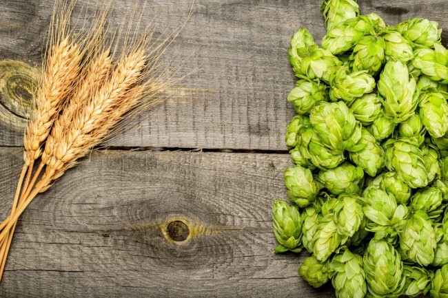 Pourquoi la bière est-elle amère ?