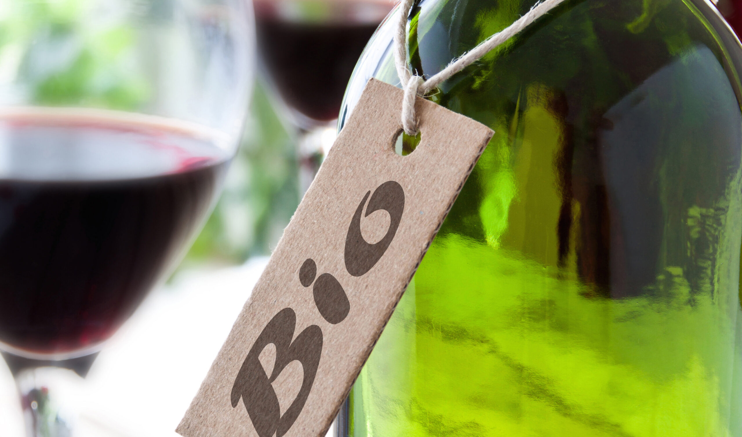 Qu&rsquo;est-ce qu&rsquo;un vin qui « va dans tous les sens » ?