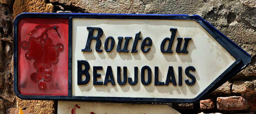 Révélation sur les terroirs du beaujolais