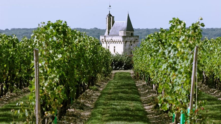 Que boire à Chinon ?