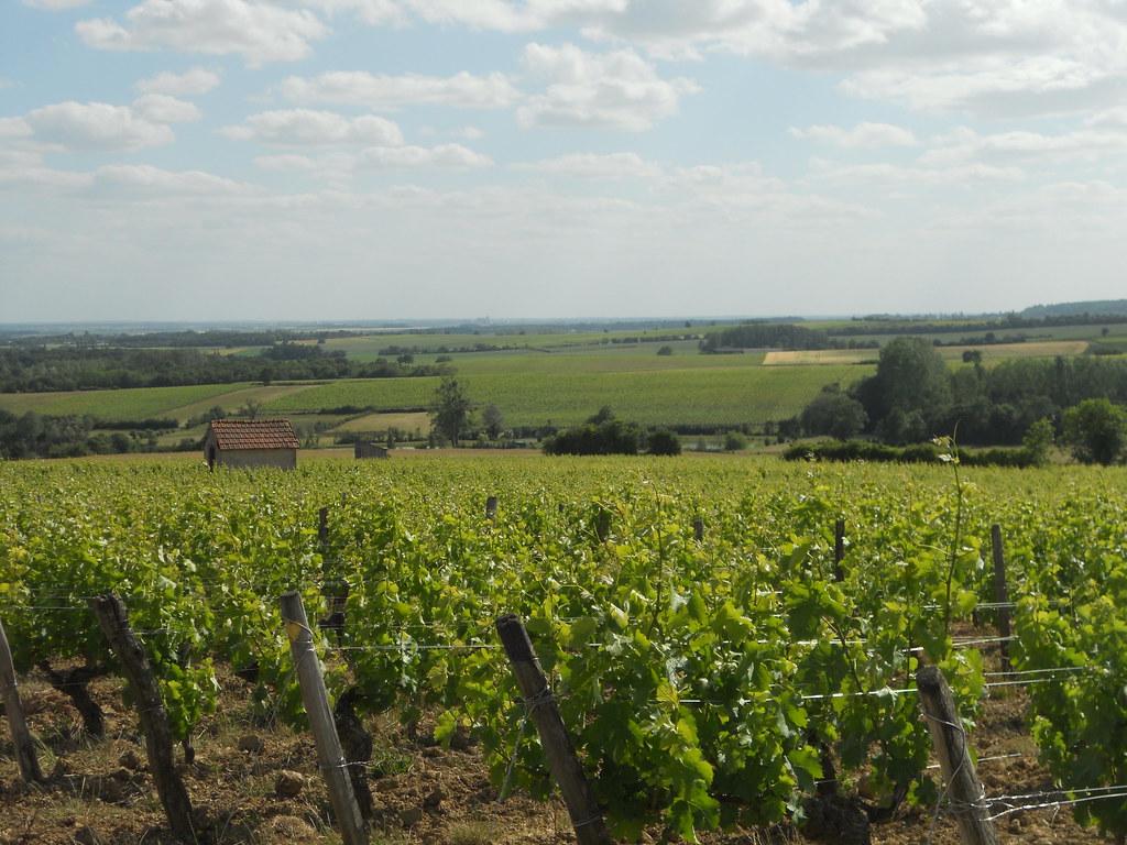 [TRAILER] 20190617_RENCONTRE_AG_DomaineTeiller.mp4.smil