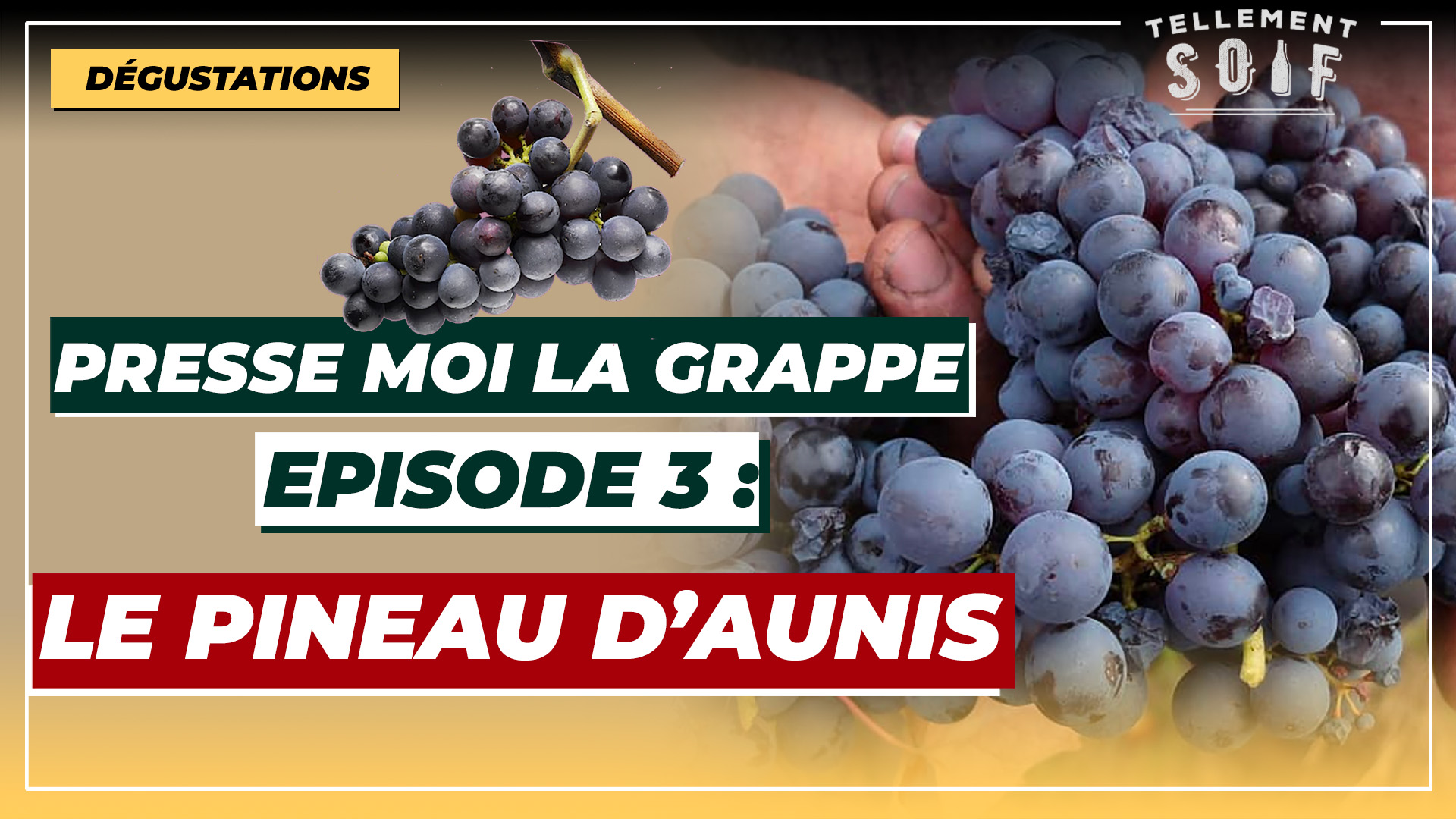 [COMPLET] 20220222_PMLG_TM_Aunis.mp4.smil