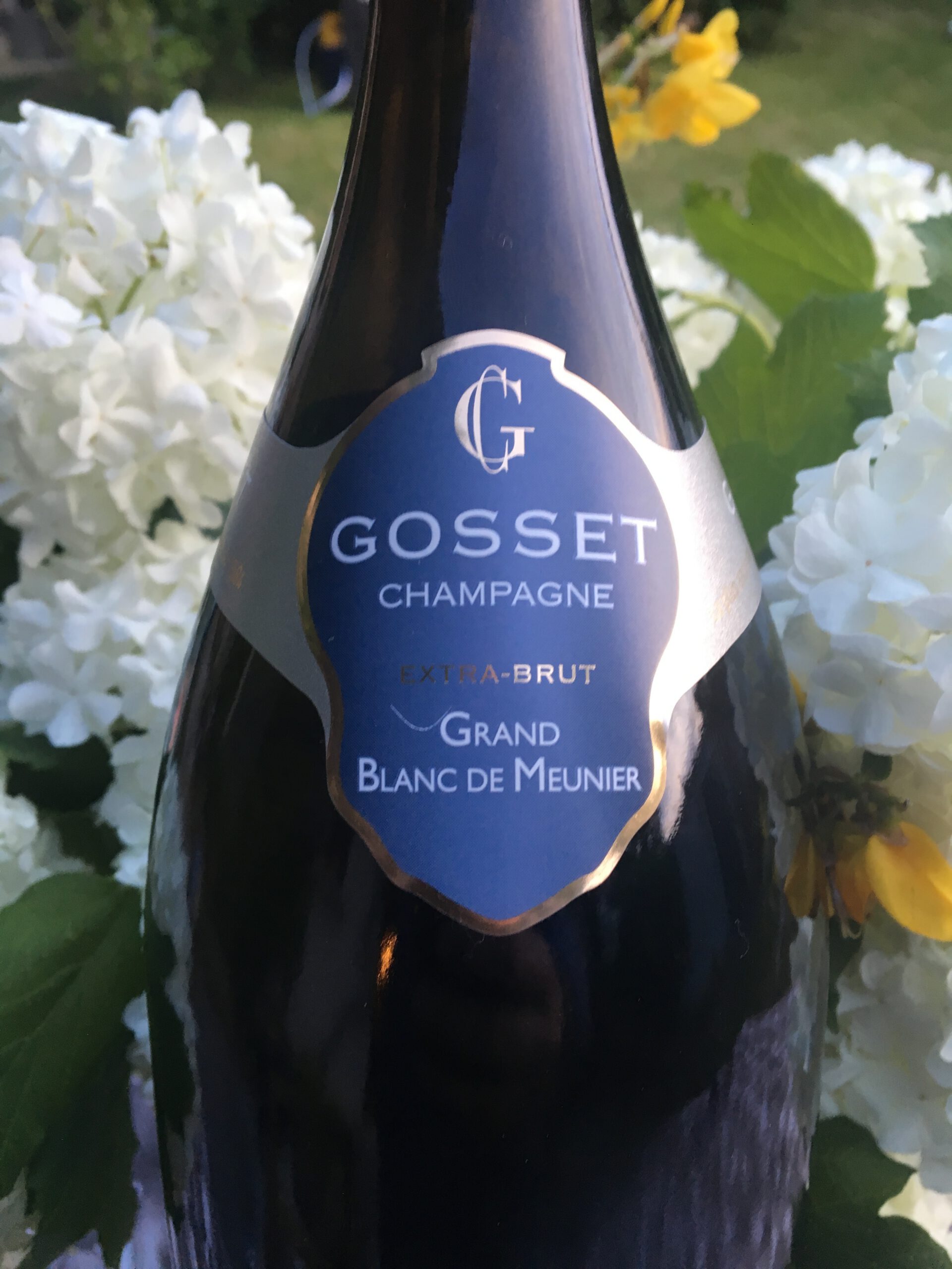 [COMPLET] 20180514_EDITO_AG_ChampagneMeunierGosset.mp4.smil
