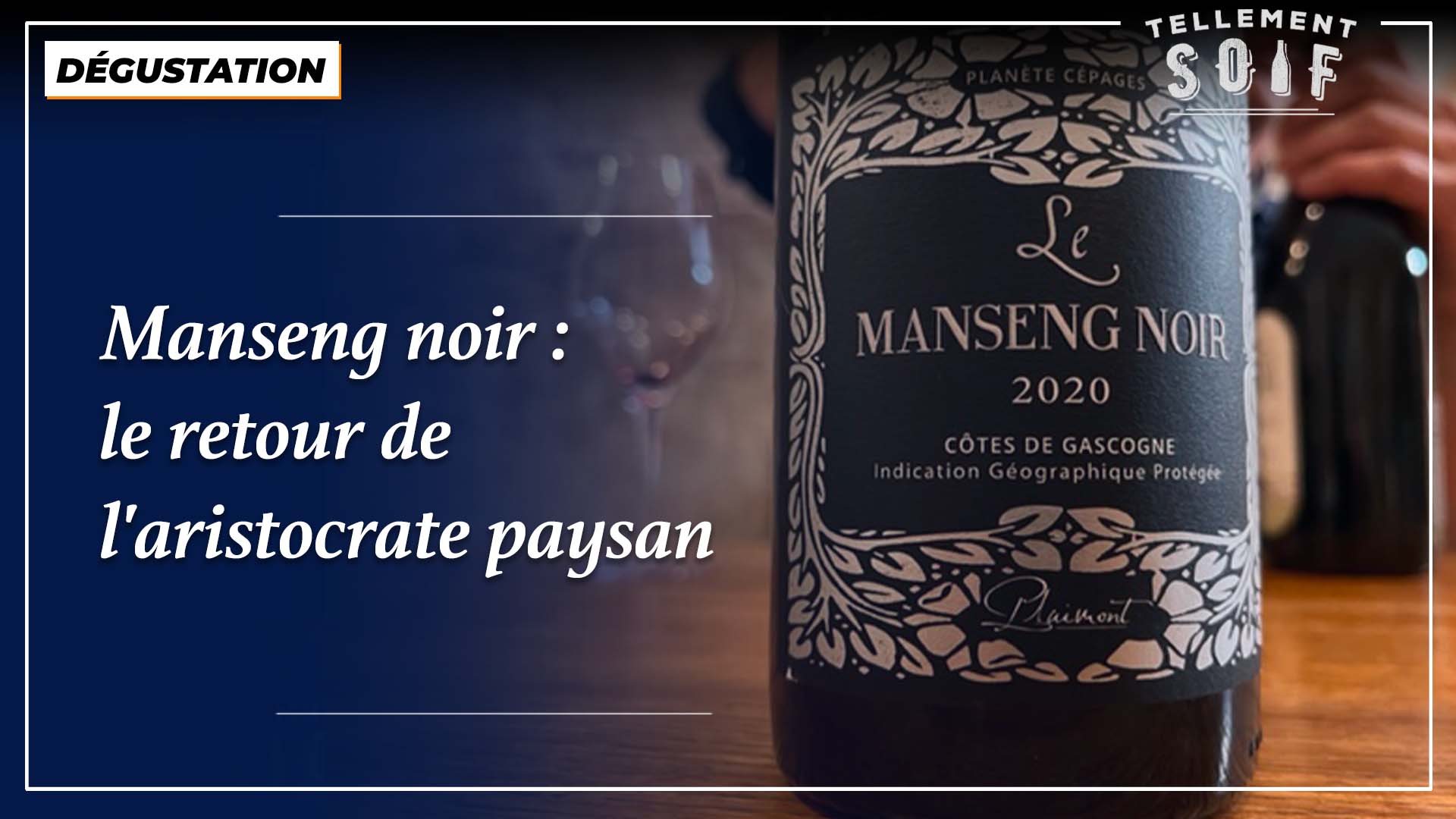 [COMPLET] 20220620_RENCONTRE_AG_OlivierBourdet_Pees_3_Degustation_3_MansengNoir.mp4.smil