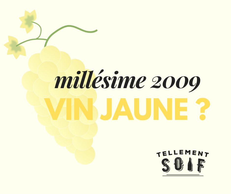 [COMPLET] 20171019_DEGUSTATION_AG_PhilippeTissot_v2.mp4.smil