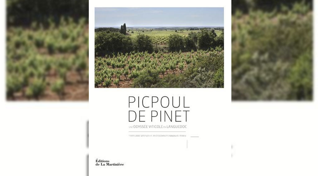 [COMPLET] 20180507_EDITO_AG_PicpoulDePinet.mp4.smil
