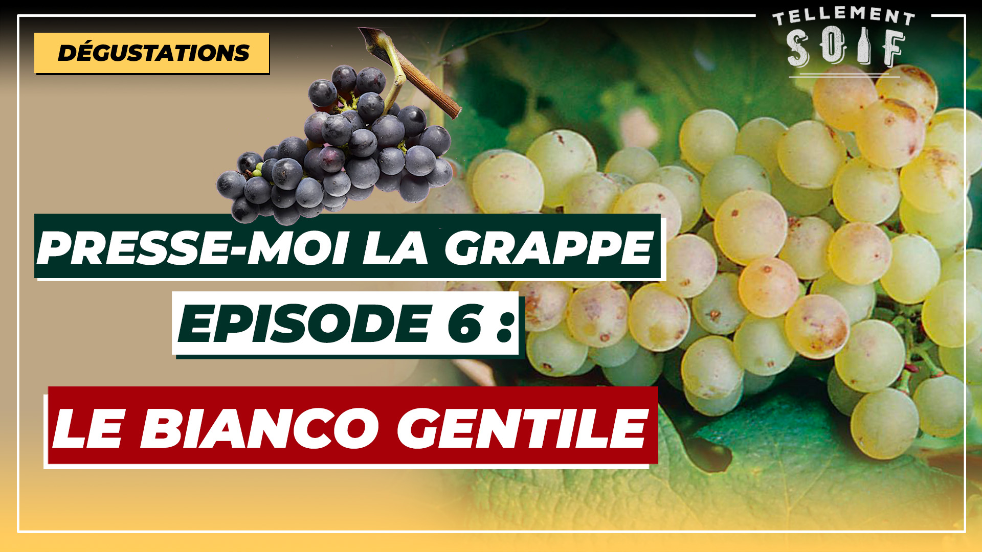 [COMPLET] 2022xxxx_PMLG_BiancoGentile.mp4.smil