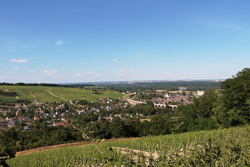 La Loire entre parmi les plus grands vignobles du monde
