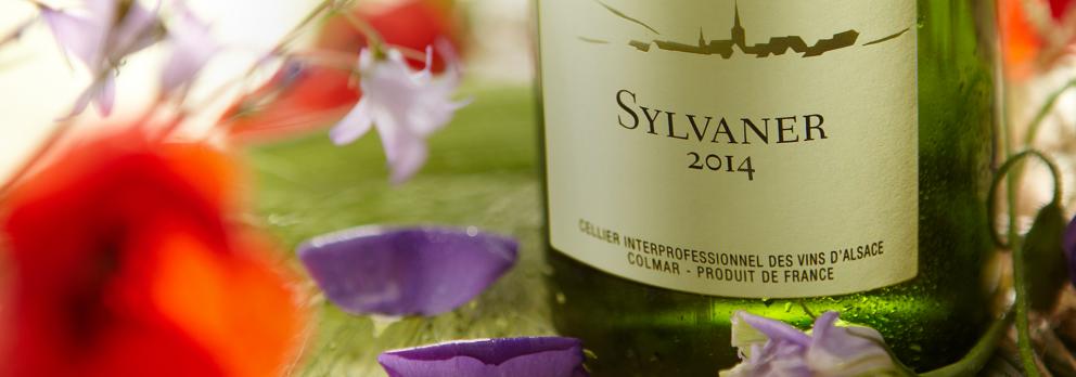 André Ostertag : « le sylvaner coule dans mes veines »