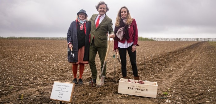 Pourquoi les maisons de Champagne investissent le vignoble anglais ?