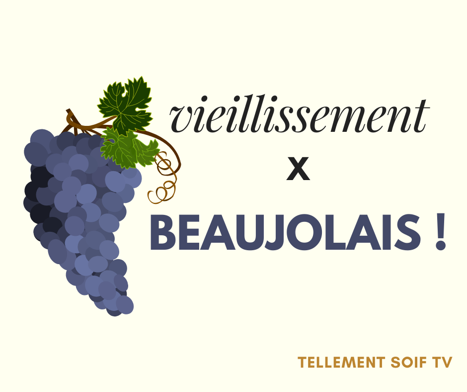 [COMPLET] 20170905_RENCONTRE_AG_PhilippeBardet_BeaujolaisDeGarde.mp4.smil