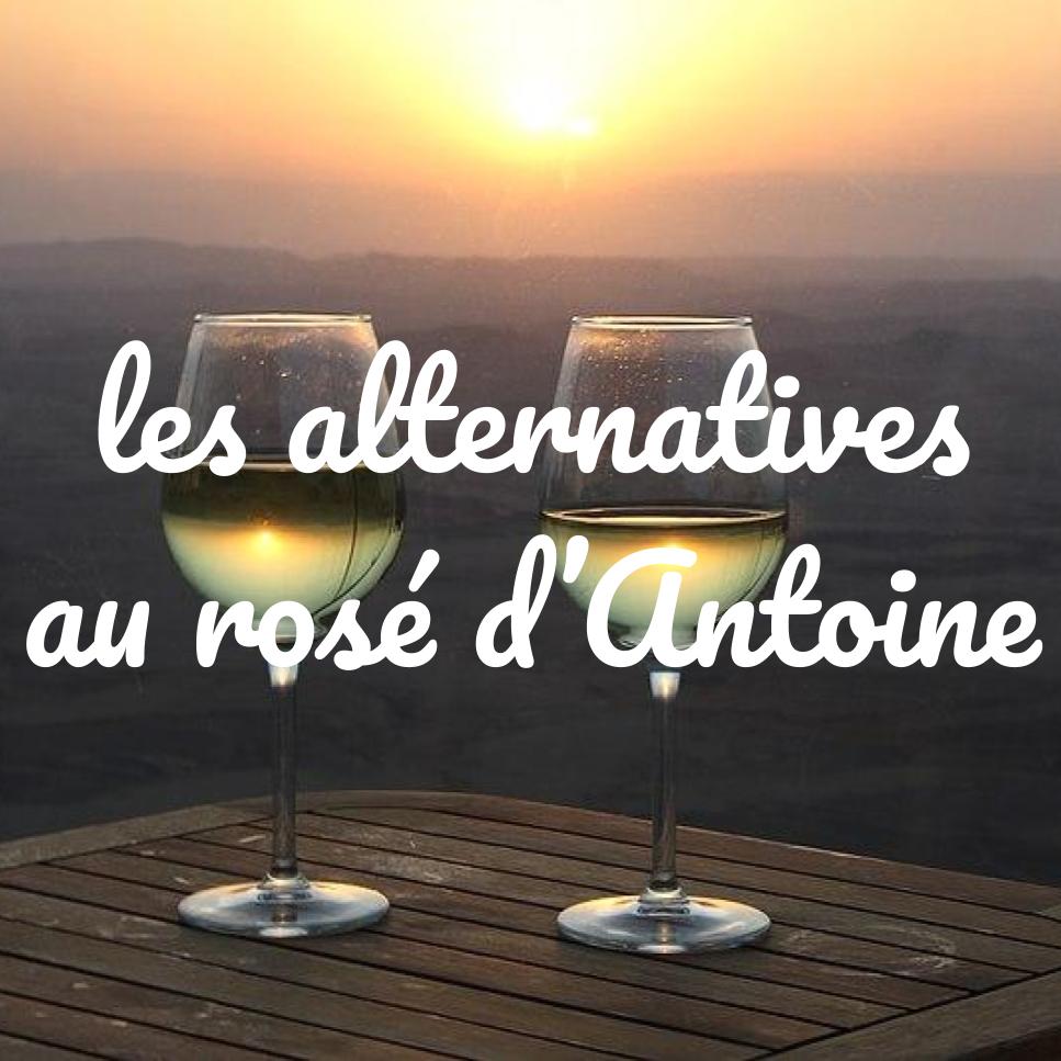 [TRAILER] 20190715_CONSEILS_AG_AlternativesRose.mp4.smil